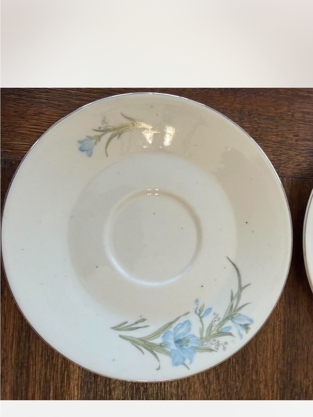 Teacup Saucers Set of 2